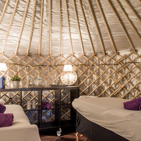 Bed and Breakfast Yurtlife Zaandam Exteriér fotografie